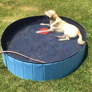 狗狗泳池家庭小型游泳池阳台家用简易专用夏季 可折叠洗澡水池大