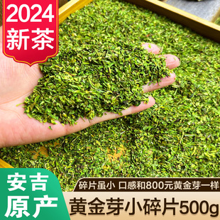 黄金芽小碎茶片2024新茶叶明前珍稀白茶嫩芽安吉绿茶高碎散装 500g