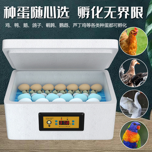 孵化器小蛋型家用水床孵化机鹌鹑孵化箱鸭鹅鸽子小鸡智能恒温孵器
