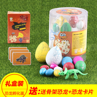 恐龙蛋孵化蛋泡水膨胀变形动物小礼物可泡大盲盒儿童男孩女孩玩具