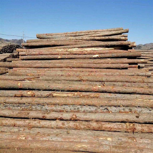松木桩原木杉木桩打河道打桩木实木支撑杆护坡工程 防汛木头桩