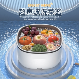 新款 超声波瓜果蔬清洗机家用水果洗菜机食材净化去农药残留机