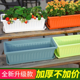 种菜箱长方形花盆塑料种菜神器家庭阳台长条型厂家花槽蔬菜盆
