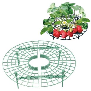 极速Strawberry Growing Balcony Planting Garden Rac Supporter