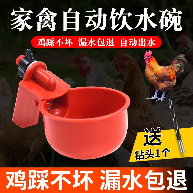 新型鸡鸭鹅自动饮水碗饮水器喂鸽子水碗鸟饮水器鹌鹑家禽养殖设备