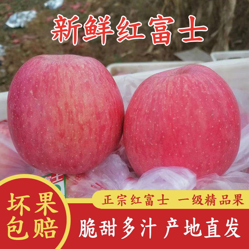 一级精品洛川红富士苹果脆甜多汁陕西正宗新鲜水果源头产地直发10