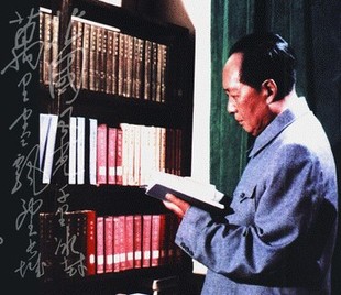 1976全259卷16开 1893 中央文献出版 毛泽东读书集成 社