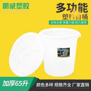 塑胶水桶手提桶加厚塑料储物桶家用酿酒大容量65l化工桶白桶