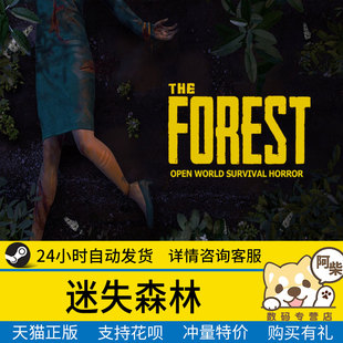 迷失森林steam游戏The Forest森林迷失森林 PC中文正版