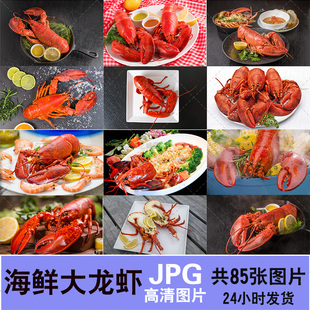 摄影菜谱图片JPG高清波士顿大龙虾海鲜食材食品西餐 菜品设计素材