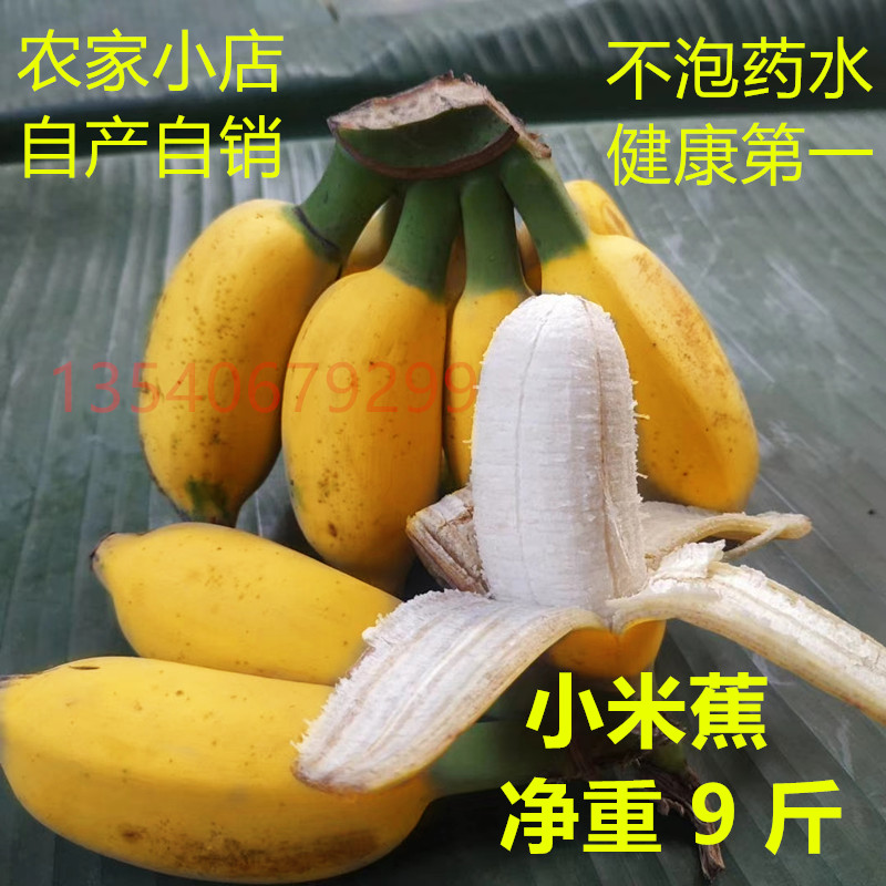 小米蕉新鲜香蕉酸甜小米蕉鸡蕉小芭蕉小香焦米焦非粉蕉苹果蕉酸甜