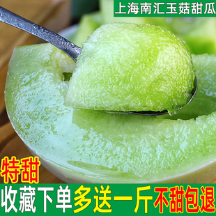 上海南汇玉菇甜瓜新鲜时令孕妇水果整箱玉茹香瓜甜瓜哈蜜瓜5 10斤