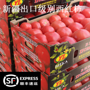 新疆普罗旺斯沙瓤西红柿 生吃自然熟铁皮草莓番茄5斤新鲜水果顺丰