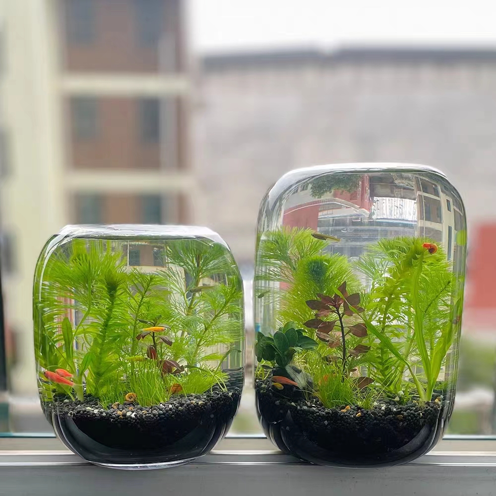 创意圆形玻璃鱼缸透明桌面加厚金鱼缸客厅微景观生命之树生态瓶
