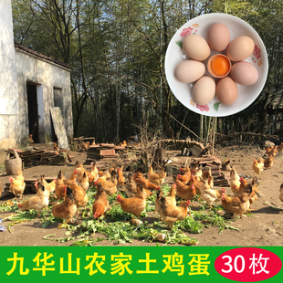 正宗农家散养土鸡蛋新鲜农村土鸡蛋柴笨鸡蛋九华山五谷土鸡蛋30枚