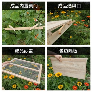 o中蜂蜂箱全套蜜蜂蜂箱十框七框标准杉木蜂箱意蜂蜂桶养蜂工具全