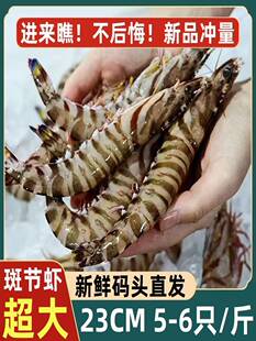 九节虾斑节虾鲜活冷冻超大基围虾新鲜海捕对虾特大海鲜水产竹节虾