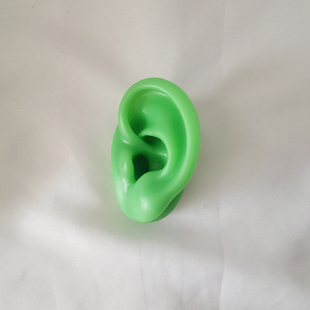 绿色硅胶耳朵模型耳钉耳环耳机展示道具仿真人耳模型