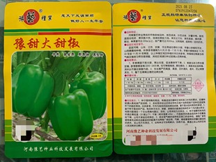 豫甜大甜椒 甜椒种子 豫艺种业 袋 大果产量高