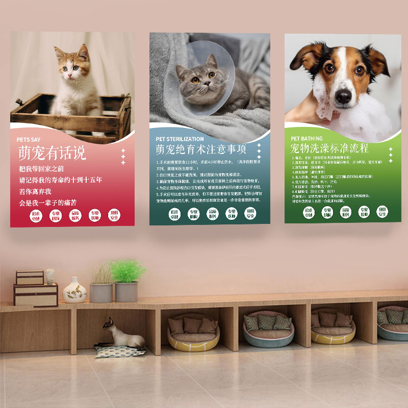 萌宠宠物店墙面宣传贴纸医院美容用品店装 饰贴纸墙贴画宣传海报贴