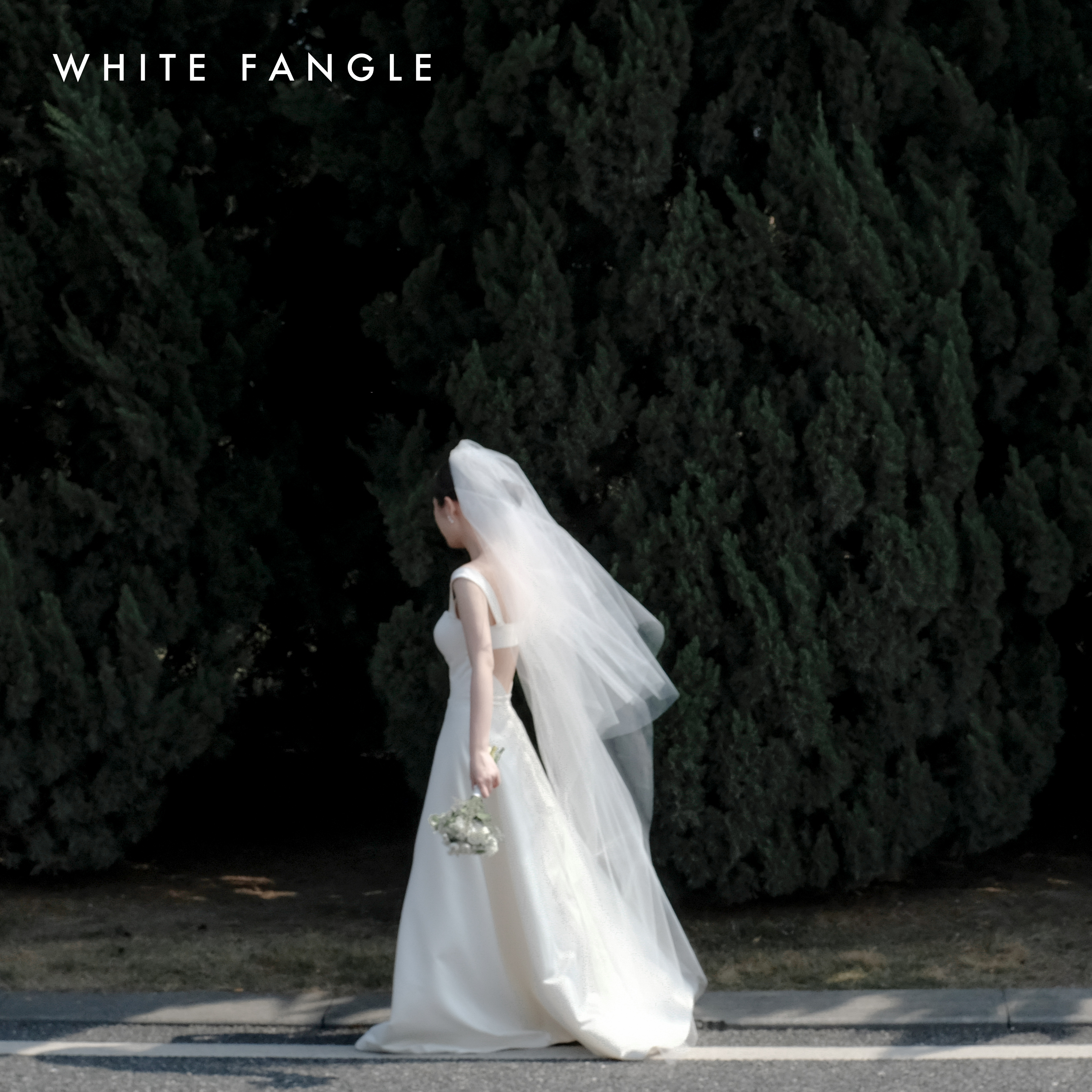 FANGLE 围绕 WHITE 优雅复古 旅拍森系 素色齐地头纱
