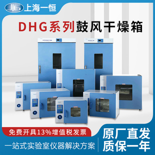 上海一恒电子电热恒温鼓风干燥箱实验室DHG9030A工业烘箱烤箱