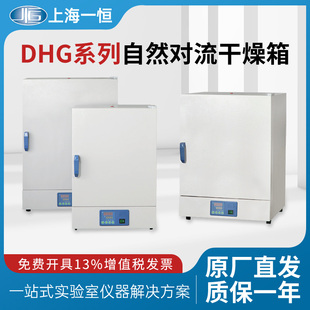 上海一恒自然对流干燥箱实验室恒温箱DHG 9031A烘箱循环烘干箱
