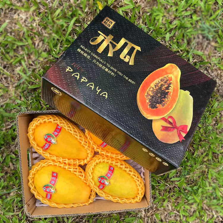 海南红心木瓜礼盒装 新鲜当季 水果5斤 8斤树上熟牛奶木瓜下奶产妇