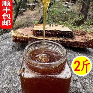 土蜂蜜原味大别山涯蜜信阳市新县特产野生蜂蜜百花蜜纯正蜂蜜500g