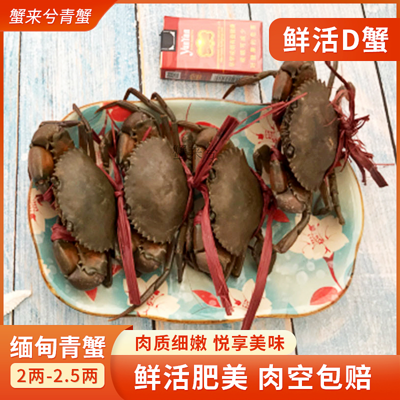 包邮 鲜活缅甸蟹特产孟加拉螃蟹青蟹胖哥俩肉蟹煲野生2斤8一10只