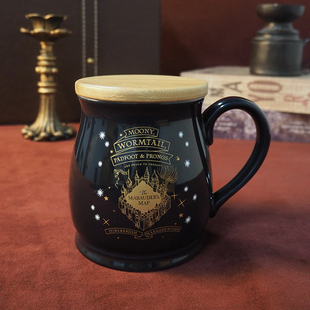 周边马克杯感温变色杯子个性 潮流陶瓷咖啡杯创意礼物 哈利波特正版