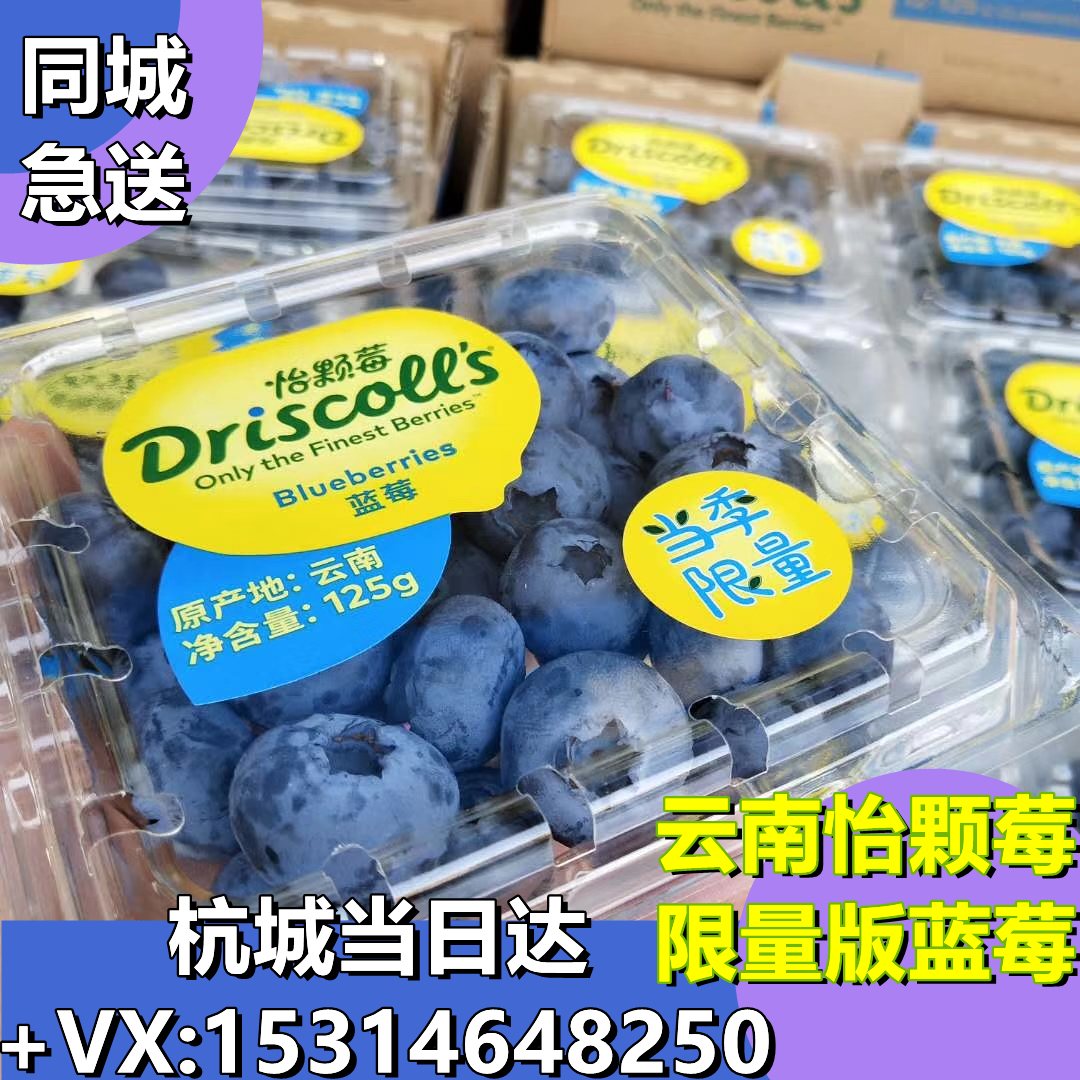 云南怡颗莓限量版 蓝莓王新鲜蓝莓纯甜新鲜浆果 包邮 孕妇农产品