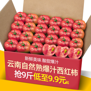云南爆汁自然熟西红柿5 9斤新鲜生吃老品种水果普罗旺斯沙瓤番茄