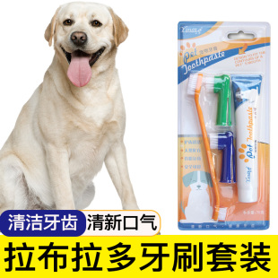 拉布拉多专用狗狗牙刷宠物牙膏套装 刷牙清洁用品口腔牙用具指套