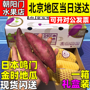 日本鸣门金时地瓜红薯番薯板栗甜蜜粉糯进口品种海南沙地5斤礼盒