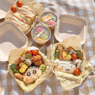 野餐盒子一次性食物收纳甜品水果便当盒春游饭盒露营碗郊游打包盒