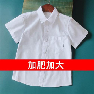 男童短袖 白衬衫 纯棉尖领袋儿童表演服夏季 中大童学生校服蓝色衬衣