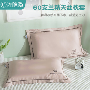 天丝成人枕套一对装 家用冰丝小枕头套纯色粉色枕芯内胆套夏天 夏季