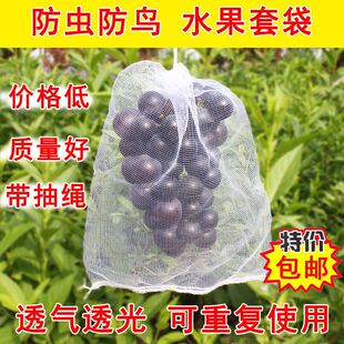 葡萄套袋防鸟网袋水果套袋防虫瓜果蔬菜防虫袋塑料白色网袋浸种袋