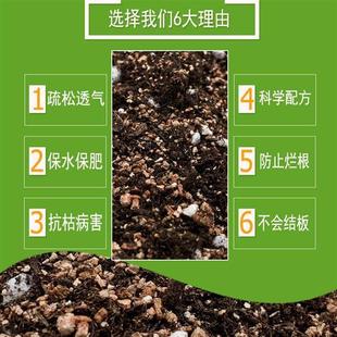 包邮 种植土通用型多肉土兰花土专用营养土绿萝绿植种植土壤 营养土