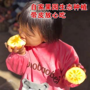 正宗新疆阿克苏冰糖心苹果新鲜水果特级胜丑苹果整箱10斤