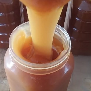 包邮 伊犁蜂场自产红枣蜂蜜两斤
