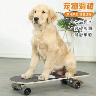 滑板宠物专用法斗犬英斗狗狗专业陆冲板训练柴犬斗牛犬宠物狗用品
