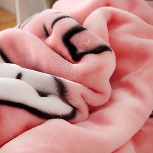 儿童婴儿毛毯双层加厚宝宝盖毯幼儿园小被子秋冬季 加大珊瑚绒毯子