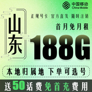 山东青岛济南烟台移动手机电话卡5G流量上网卡低月租号码 卡无漫游