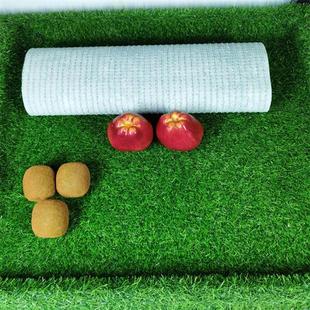 仿真绿草坪水果货架假草皮超市果蔬防滑垫摆果品专用绿地毯装 饰草