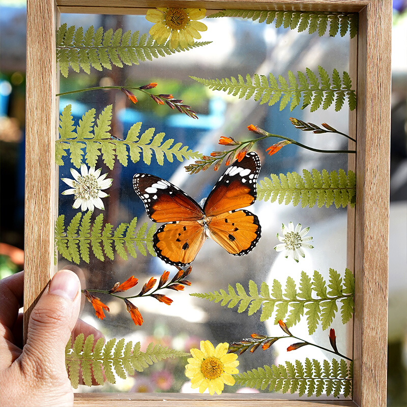 蝴蝶押花标本创意立体相框摆台森林自然手工送朋友闺蜜好礼