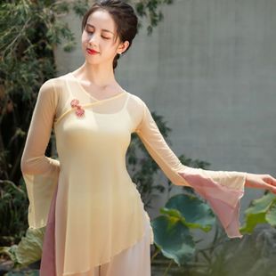 中国舞古典舞民族现代身韵舞演出练功服上衣女成人纱衣舞蹈服装
