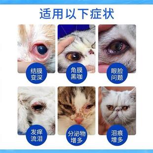 千寿红瓶宠物滴眼液点眼液猫狗角膜腐骨溃疡结膜水肿角膜穿孔