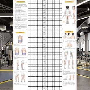 新体态调整评估表健身房体测墙贴网格纸私教姿势体位背景墙体姿图
